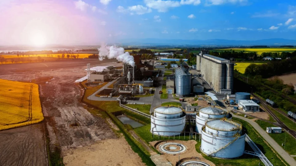 Agroindústria recua 2,9% em julho e acumula queda no ano; insumos despencam 20,8%