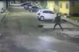 Pai denuncia maus-tratos contra cachorro e ameaças à família em Manaus