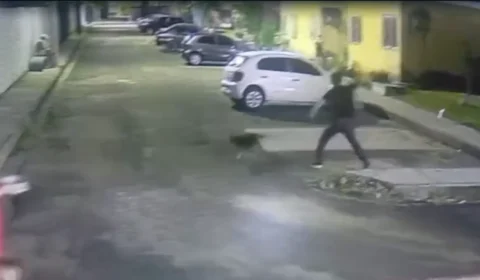 Pai denuncia maus-tratos contra cachorro e ameaças à família em Manaus