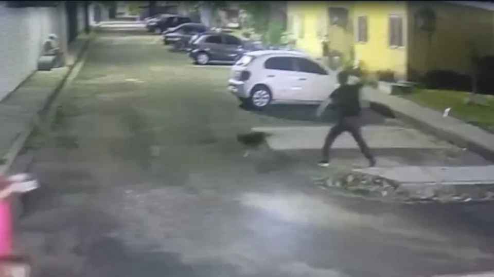 Pai denuncia maus-tratos contra cachorro e ameaças à família em Manaus