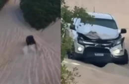 Vídeo mostra batida de frente entre dois veículos 4×4 no alto de duna na Grande Natal