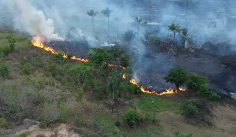 Incêndio destrói área equivalente a 50 campos de futebol no Amazonas