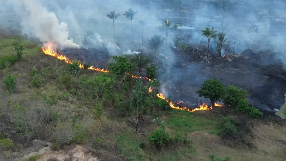 Incêndio destrói área equivalente a 50 campos de futebol no Amazonas