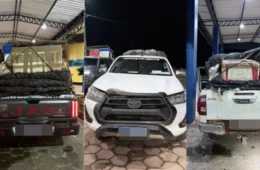 PRF intercepta transporte irregular de pescado e cumpre mandado de prisão na BR-210 no Amapá