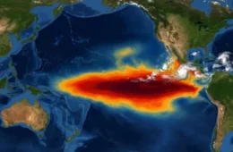 “Super El Niño” pode provocar mais de 450 mil mortes adicionais por calor até fevereiro, aponta estudo