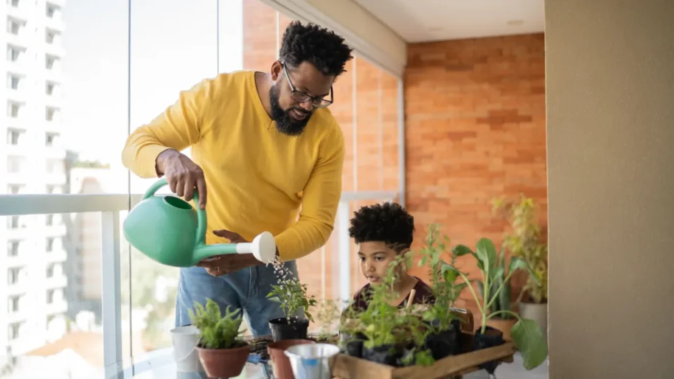 Saiba escolher a planta certa para cada ambiente de casa
