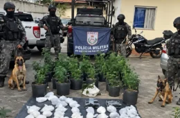 Operação da PM na Maré apreende 12 fuzis e prende 16 suspeitos