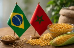 Brasil fecha pré-acordo com Marrocos por 3,8 milhões de toneladas de fertilizantes
