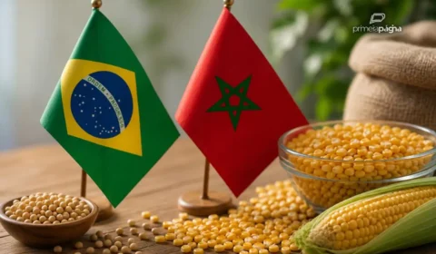 Brasil fecha pré-acordo com Marrocos por 3,8 milhões de toneladas de fertilizantes