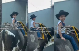Vídeo: menino de 3 anos chega à escola montado em boi de 600 kg em Mato Grosso