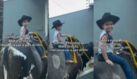 Vídeo: menino de 3 anos chega à escola montado em boi de 600 kg em Mato Grosso