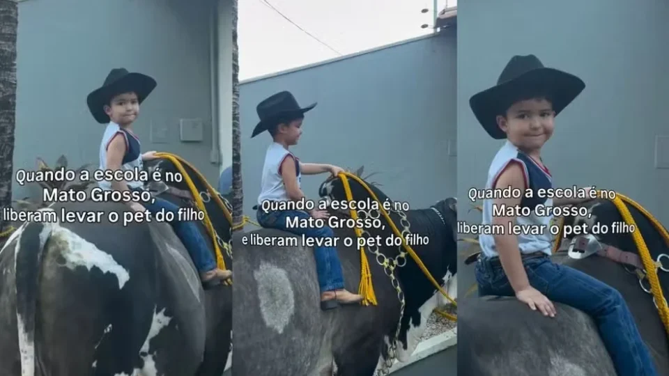 Vídeo: menino de 3 anos chega à escola montado em boi de 600 kg em Mato Grosso