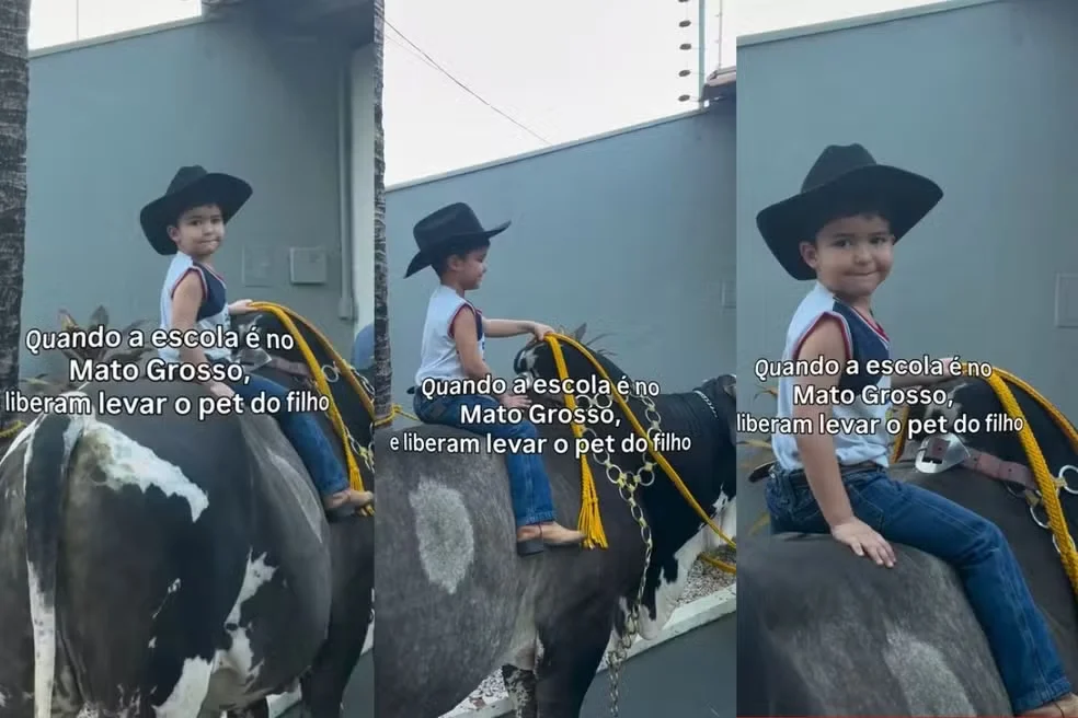 Vídeo: menino de 3 anos chega à escola montado em boi de 600 kg em Mato Grosso