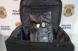 PF prende homem com 3,5 kg de cocaína escondidos em mala no Galeão