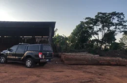 PF deflagra operação contra exploração ilegal de madeira em terras indígenas de Rondônia