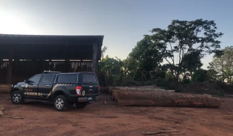 PF deflagra operação contra exploração ilegal de madeira em terras indígenas de Rondônia