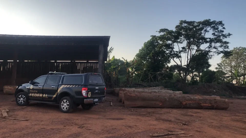 PF deflagra operação contra exploração ilegal de madeira em terras indígenas de Rondônia