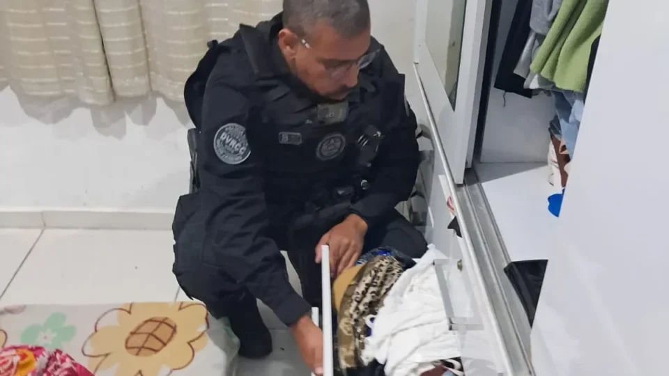 Polícia Civil faz operação contra suspeita de aplicar golpe do falso familiar no Rio
