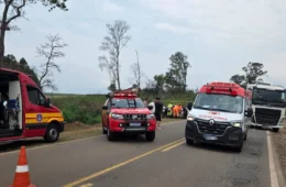 Motorista fica gravemente ferido após colisão frontal entre carreta e Saveiro na MG-179, em Alfenas