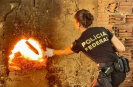 PF incinera cerca de 2,5 toneladas de drogas apreendidas em Minas Gerais