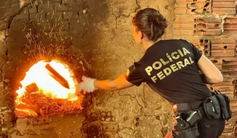 PF incinera cerca de 2,5 toneladas de drogas apreendidas em Minas Gerais