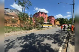 Motorista diz que ônibus escolar perdeu os freios antes de bater em poste e árvore em BH
