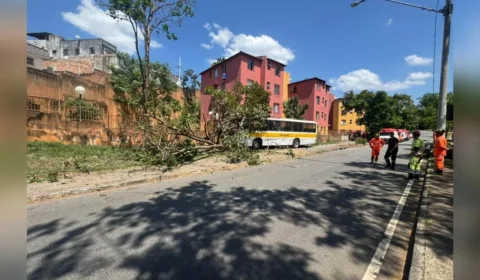 Motorista diz que ônibus escolar perdeu os freios antes de bater em poste e árvore em BH
