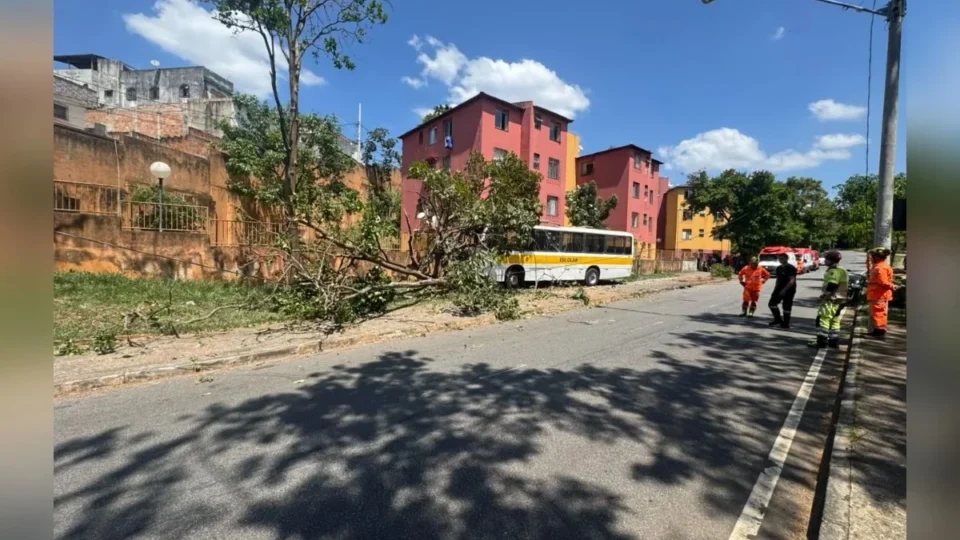 Motorista diz que ônibus escolar perdeu os freios antes de bater em poste e árvore em BH