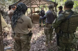 PF destrói estruturas usadas na extração ilegal de madeira em terra indígena de Rondônia