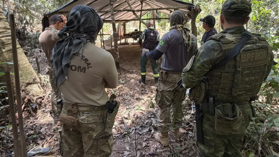 PF destrói estruturas usadas na extração ilegal de madeira em terra indígena de Rondônia