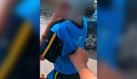 Motoboy salva criança durante ataque de abelhas e leva 40 picadas em MG