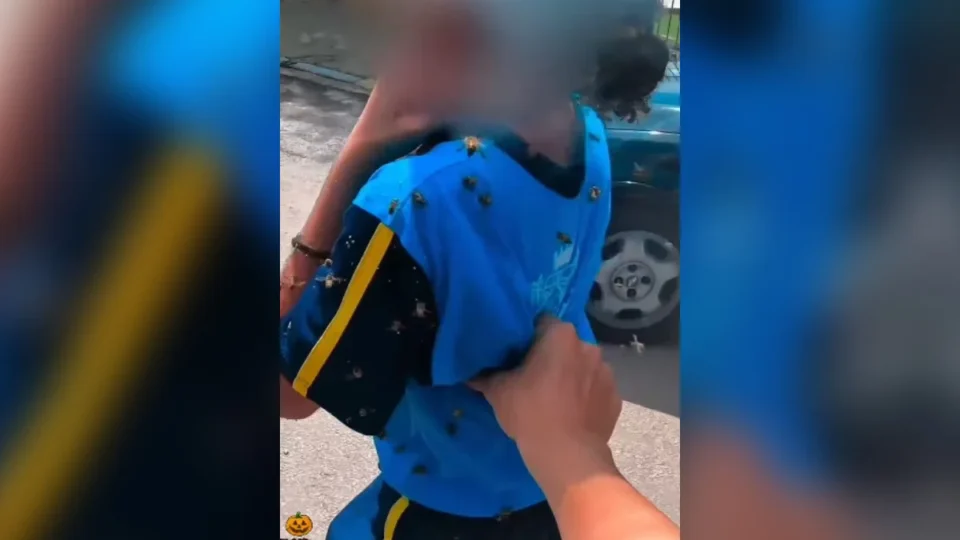 Motoboy salva criança durante ataque de abelhas e leva 40 picadas em MG