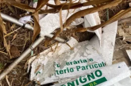 Avião monomotor cai em área rural de Sergipe e deixa ao menos um morto