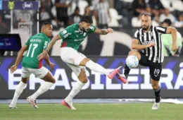 Palmeiras empata com Botafogo e perde liderança do Brasileirão para o Flamengo