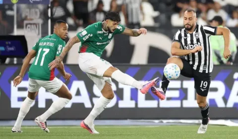 Palmeiras empata com Botafogo e perde liderança do Brasileirão para o Flamengo