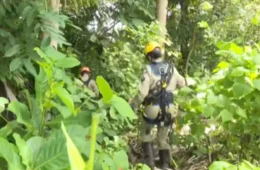Corpo é encontrado em região de mata em João Pessoa suspeita é de jovem desaparecida