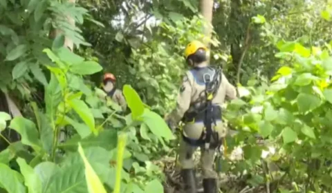 Corpo é encontrado em região de mata em João Pessoa suspeita é de jovem desaparecida