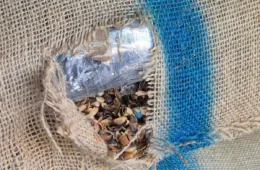 Receita encontra 366 kg de cocaína escondidos em carga de café no Porto de Santos