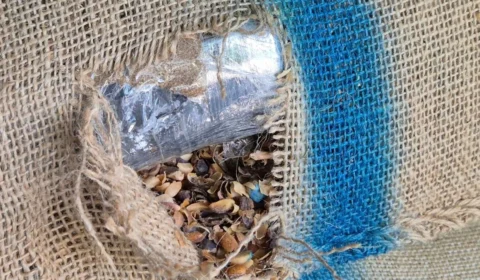 Receita encontra 366 kg de cocaína escondidos em carga de café no Porto de Santos