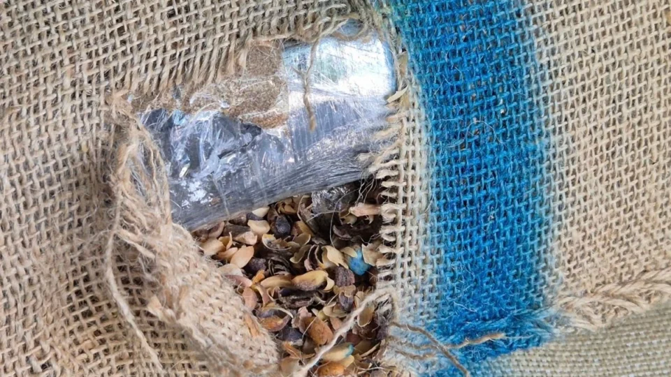 Receita encontra 366 kg de cocaína escondidos em carga de café no Porto de Santos