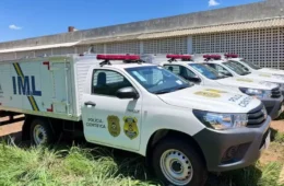 Corpo carbonizado é encontrado às margens de rodovia no Tocantins