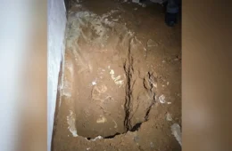 Casal é preso suspeito de matar mulher e enterrar corpo dentro de casa em SP