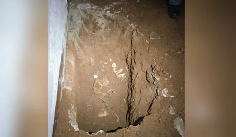 Casal é preso suspeito de matar mulher e enterrar corpo dentro de casa em SP