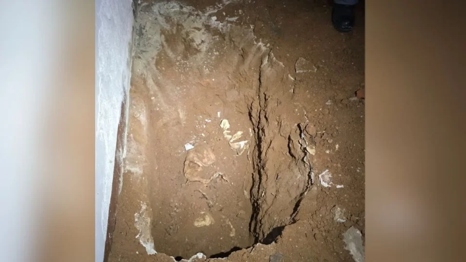 Casal é preso suspeito de matar mulher e enterrar corpo dentro de casa em SP