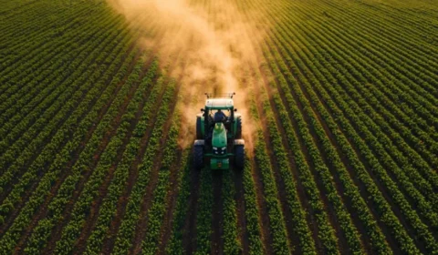 Novas regras do seguro rural ampliam proteção e agilizam indenizações