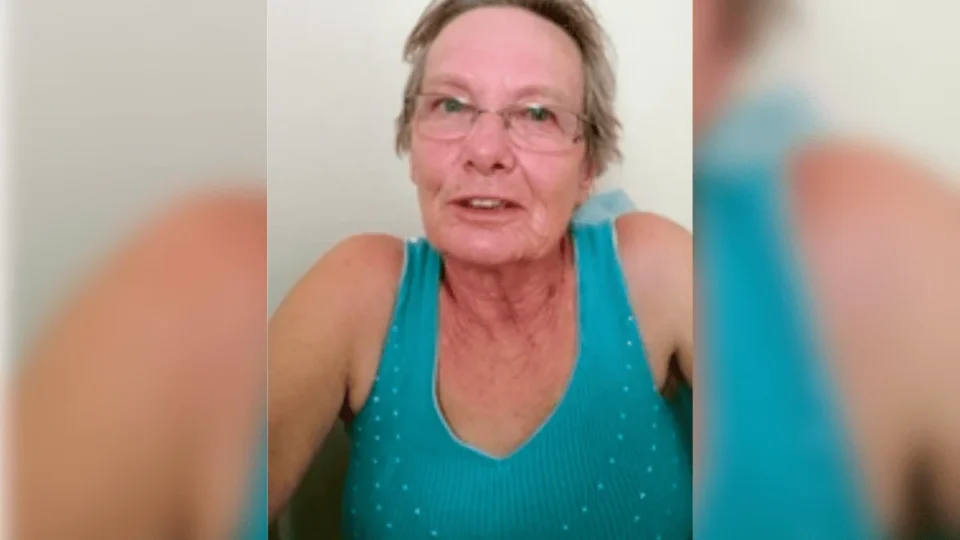 Idosa de 80 anos morre após ser atacada por abelhas na horta de casa