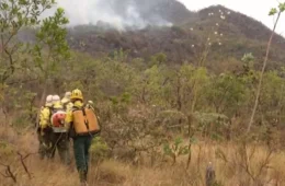 Incêndio reacende na Chapada dos Veadeiros e fecha trechos de trilha
