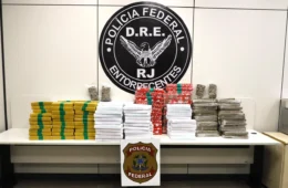 PF prende três homens com 300 kg de maconha escondidos em van na Via Dutra