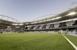 Botafogo x Palmeiras: onde assistir ao vivo, horário e escalações pelo Brasileirão