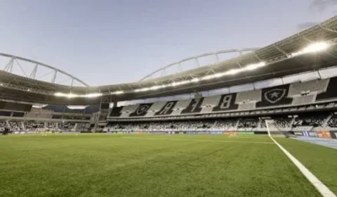 Botafogo x Palmeiras: onde assistir ao vivo, horário e escalações pelo Brasileirão
